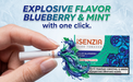 iSENZIA Polar Blueberry Crush 2026 – Barras calentadas sin tabaco | 10 paquetes